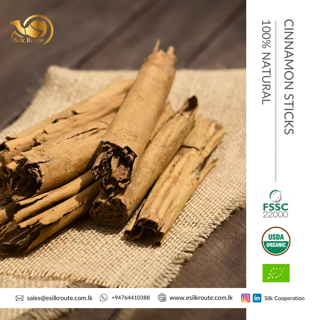 Spanish High Quality Cinnamon Finger Ceylon Spice Sticks Pure Natural Cinnamon Stick
