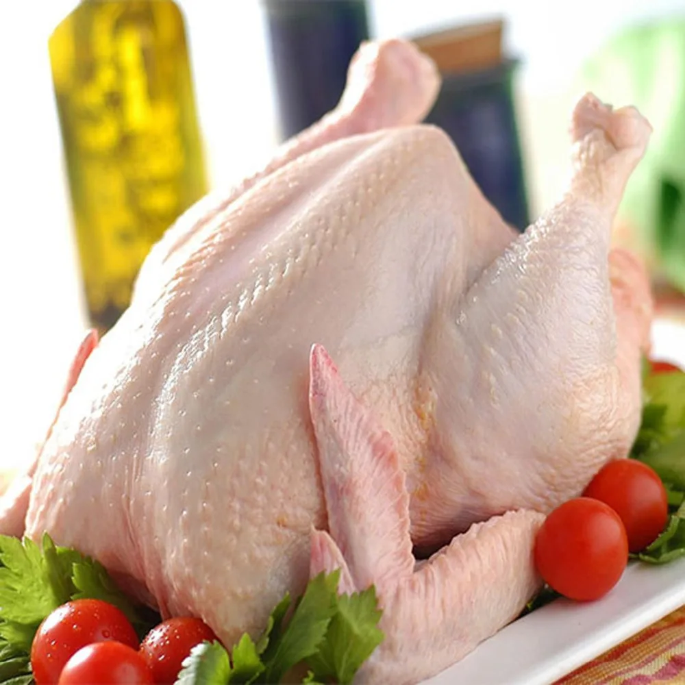 100% Halal Certified Zabiha Frozen Buy Halal Whole Frozen Chicken For Export Brazilian Frozen Chicken