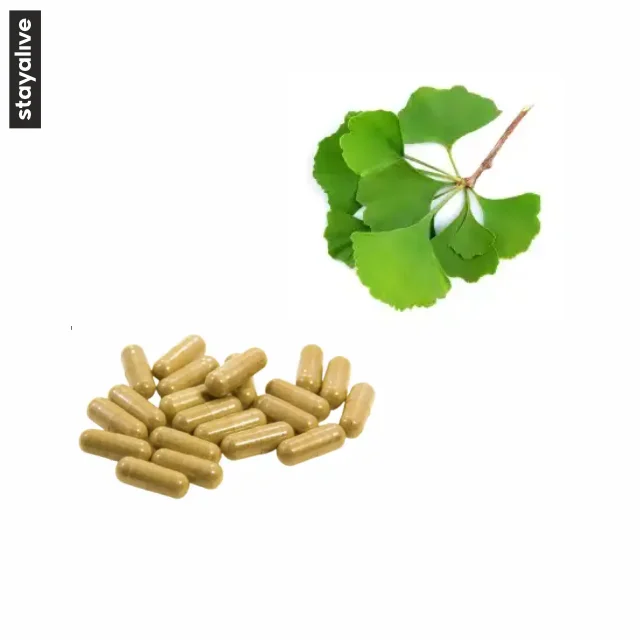Superior Quality Bulk Herbal Supplement Ginkgo Biloba Extract Capsules Support Brain Wellness Supplier From India