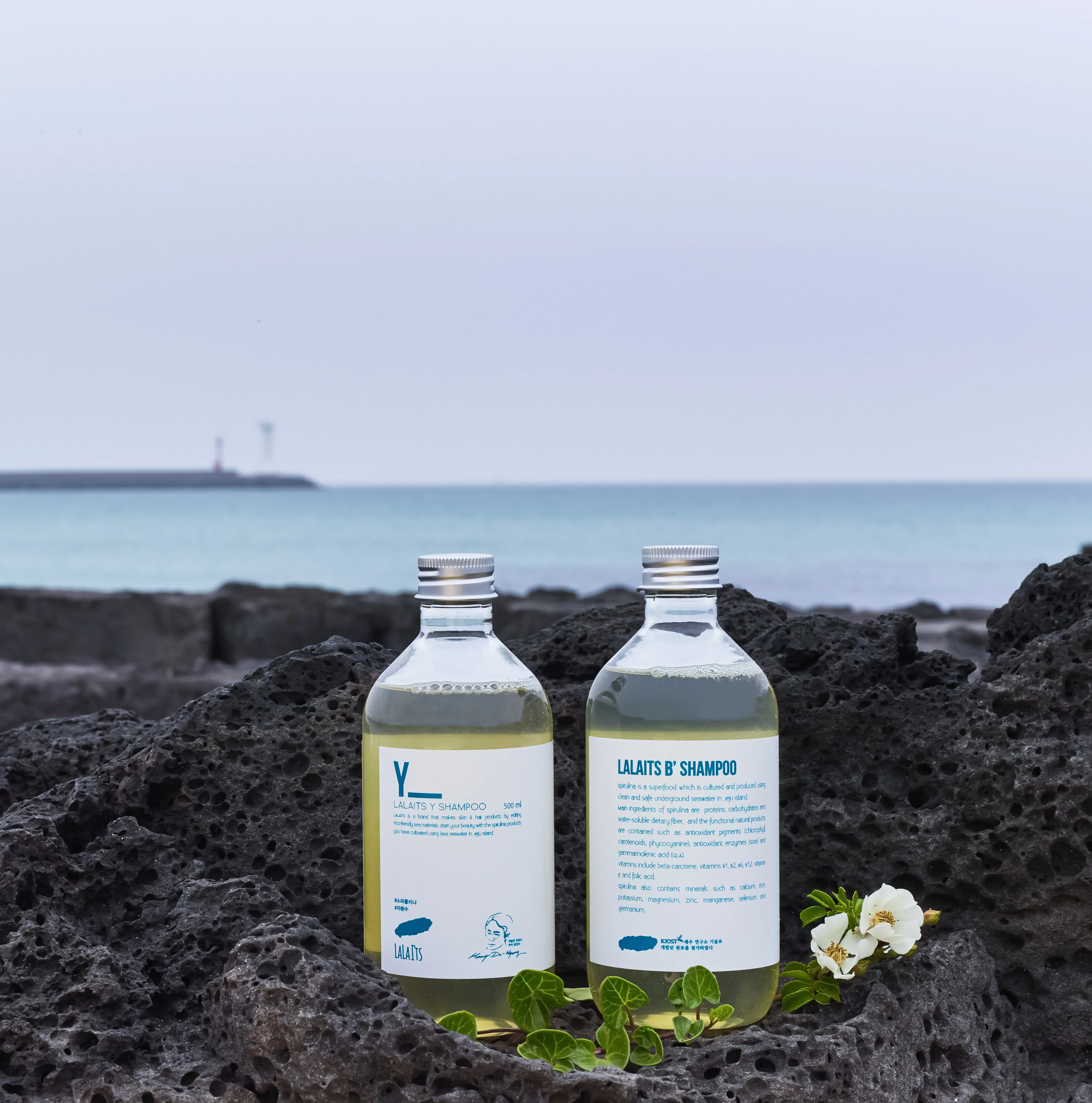 Korean Organic Anti Hair Loss Care Customized Private Label Moisturizing Shampoo