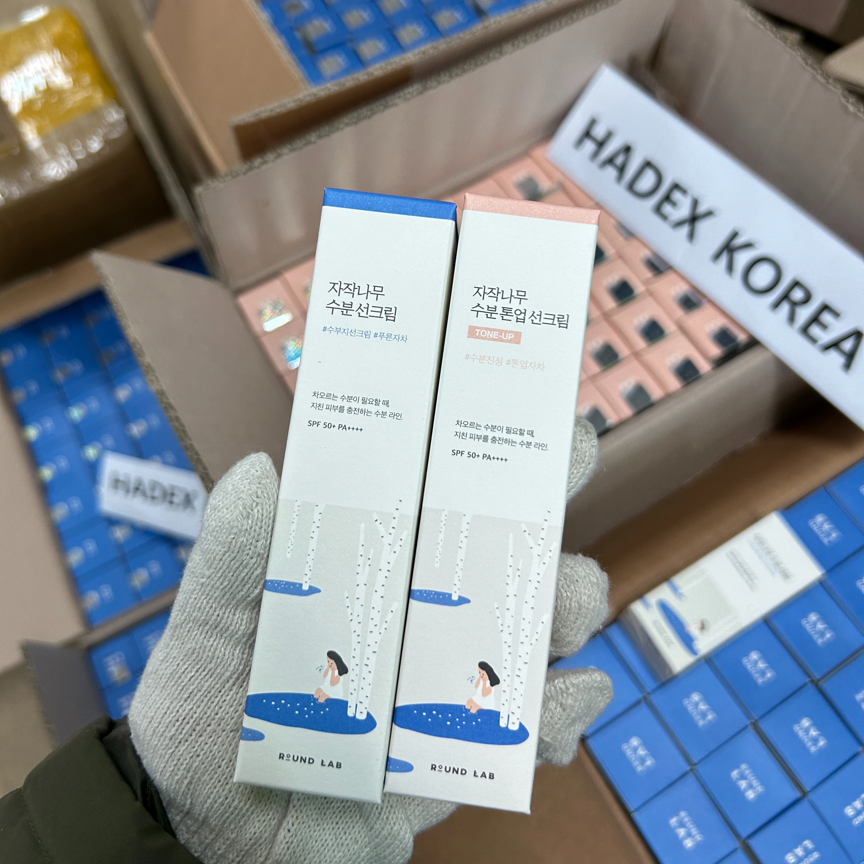 Round Lab BIRCH JUICE MOISTURIZING SUNSCREEN KOREAN COSMETICS WHOLESALE BUSINESS