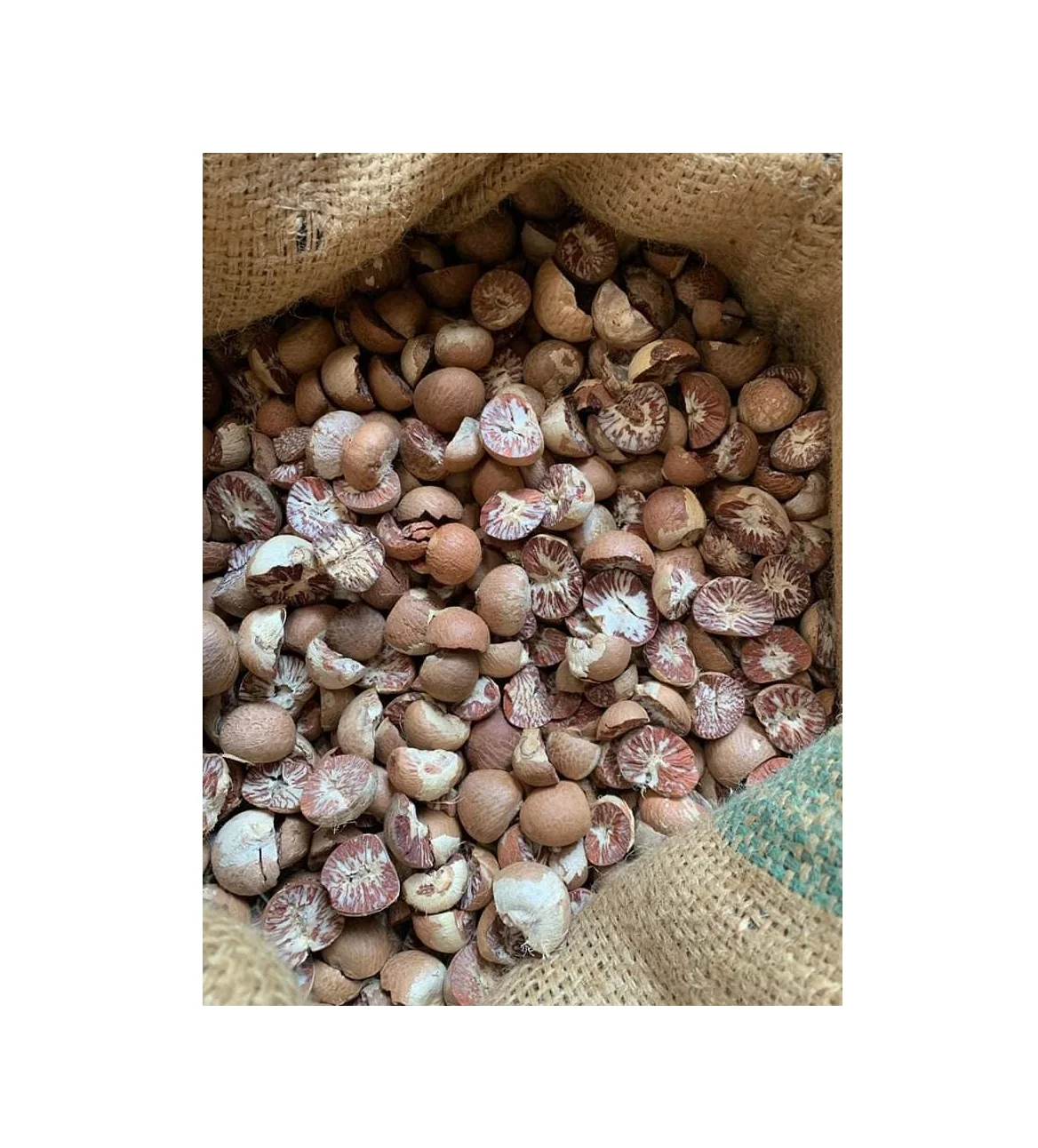 Betel Nut Dried Supari In Hot Sale With High Quality Newly Crop In 2022 Ready For Export by Air and Sea From Indonesia