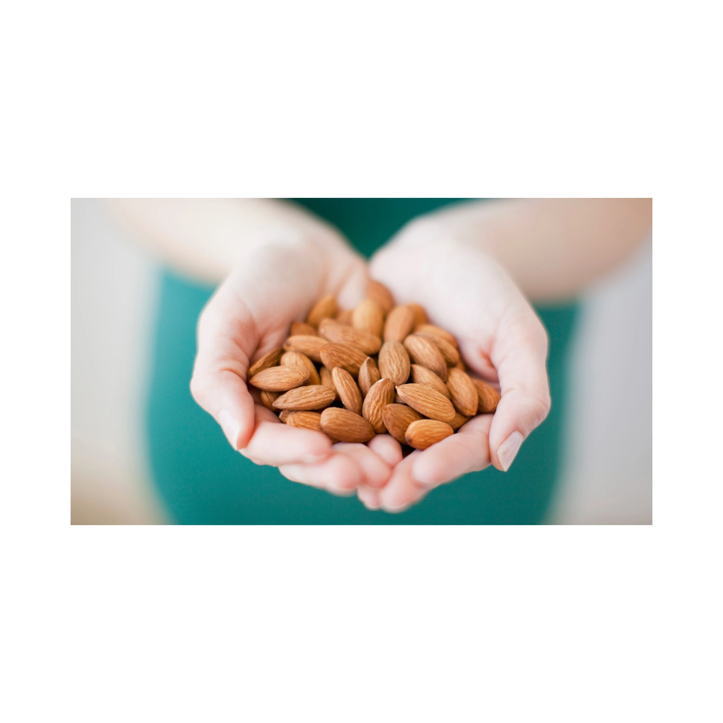 Wholesale Casual Snacks Dried Fruit Original Shelled Almond Nuts