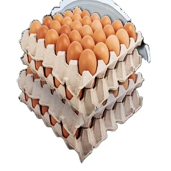Fresh Chicken Eggs / Round Table Eggs for Sale / fertile hatching eggs for sale