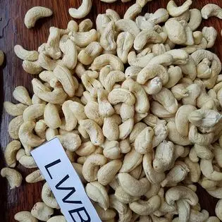 Vietnam cashew nut packing in tin/can for sell new crop 2022 all grade of cashew available