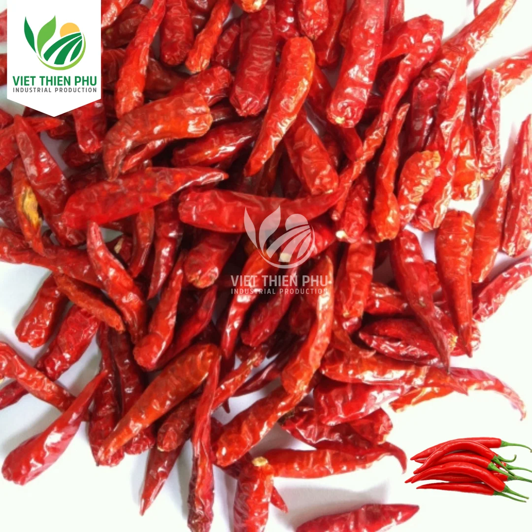 VIET THIEN PHU-Dried Red Chili Single Spices Chilli High Quality Top Product Of Vietnam