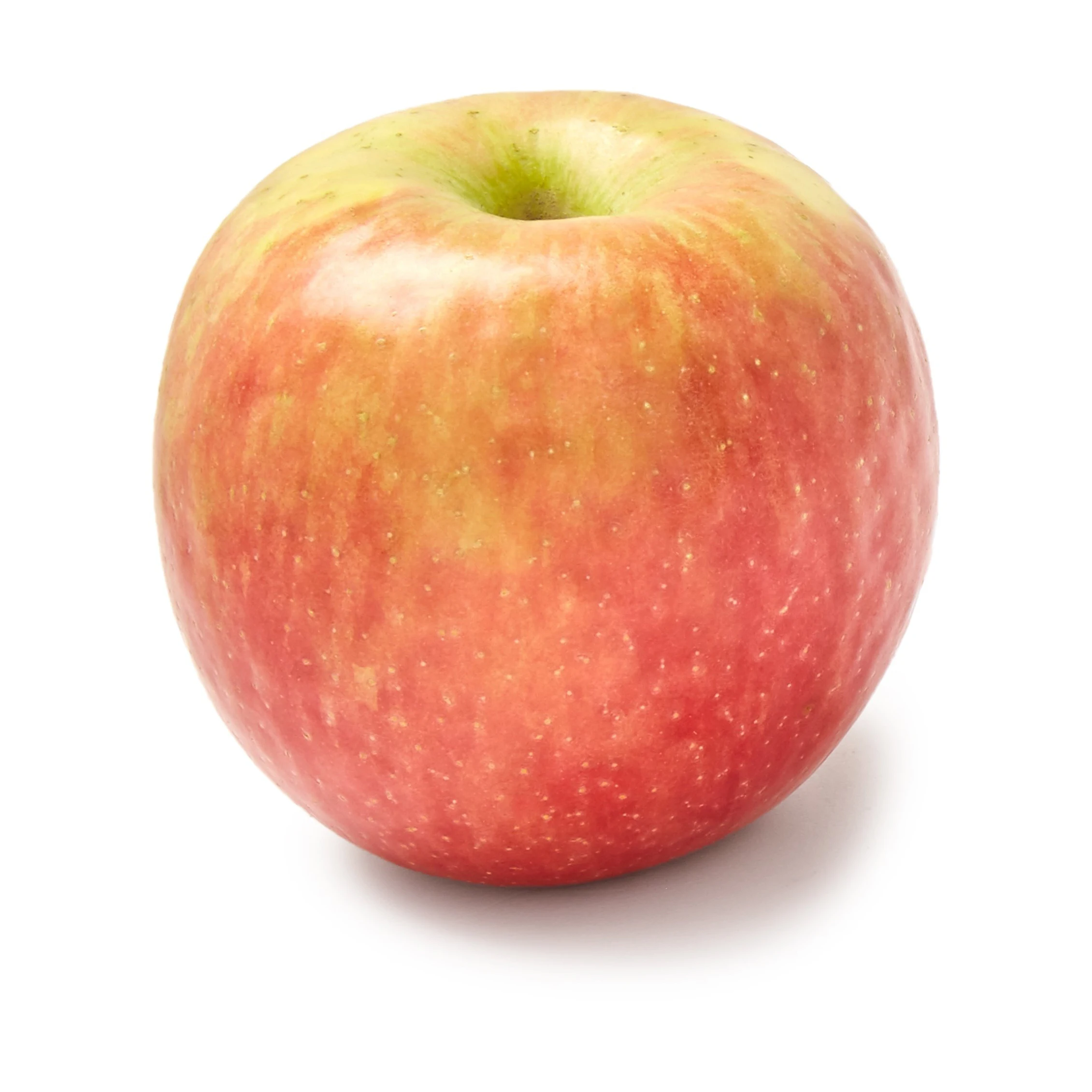 fresh royal gala apples from fresh fruits farms Fresh red fuji apple fruit fresh natural fresh apple manufacturers New crop Fres