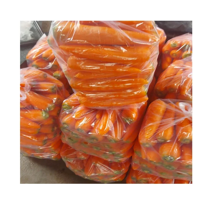 Wholesales fresh carrot various sizes to choose - Reliable Vietnamese Supplier - Long Shelf Life