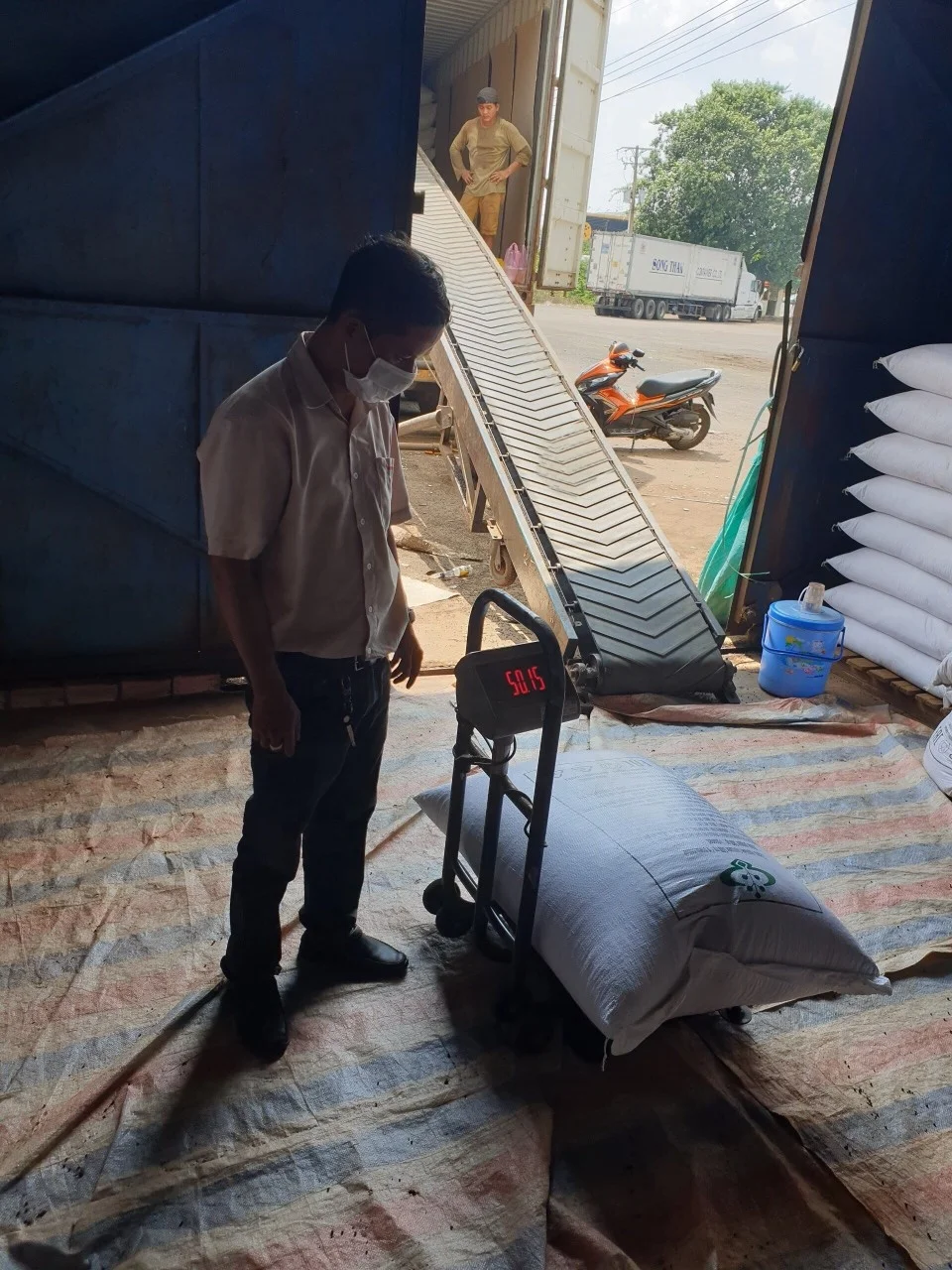 New Season High Quality Black Pepper Peppercorn Hot Spices From Vienam Farm