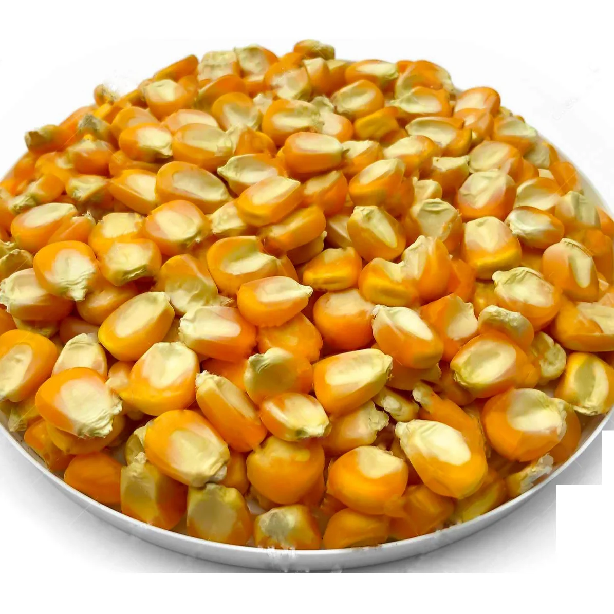 High Quality Dried Style Yellow Corn / Yellow Maize / Poultry Feed For Animal Feed