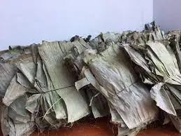 Dried Banana Leaves Banana Leaves Cheap Price Akina