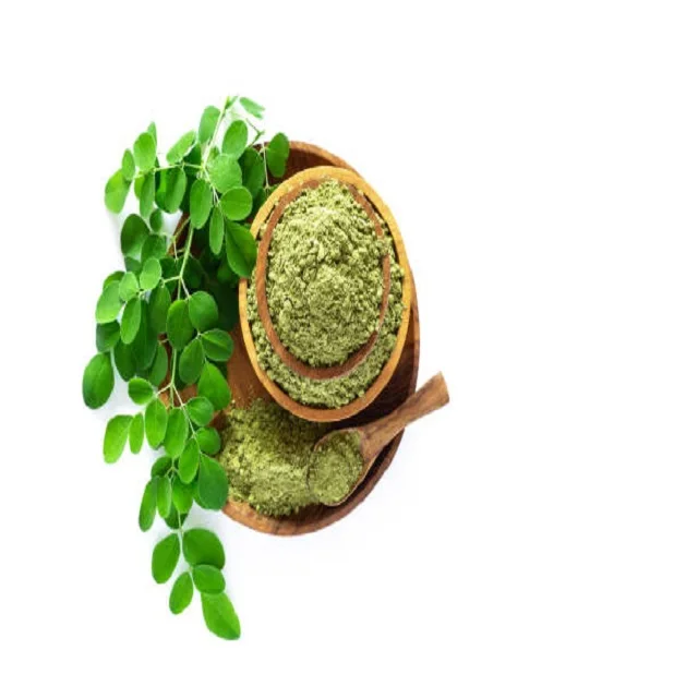 Best selling Organic Moringa Powder for Medical Health Benefits Available at Wholesale Price for Export from India