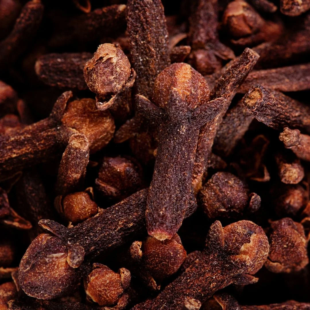 Indian Organic Clove Spices Dried Style Clove Supplier Wholesale 100% Natural Premium Grade Indian  Spices