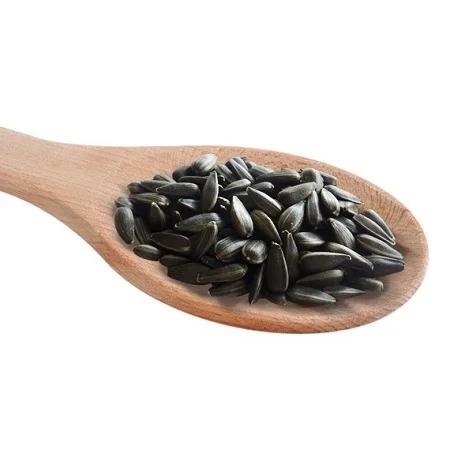 Black Sunflower Seeds High Quality Raw Seed Kernel Natural Wholesale Human Consumption