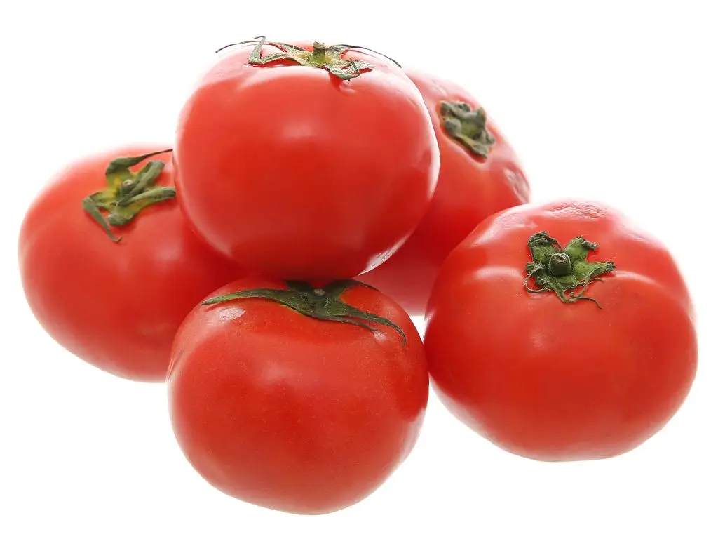Wholesale Green Farmer From Vietnam Supply Fresh Tomatoes Fresh Vegetables Used To Decorate And Spice Up Meals High Quality