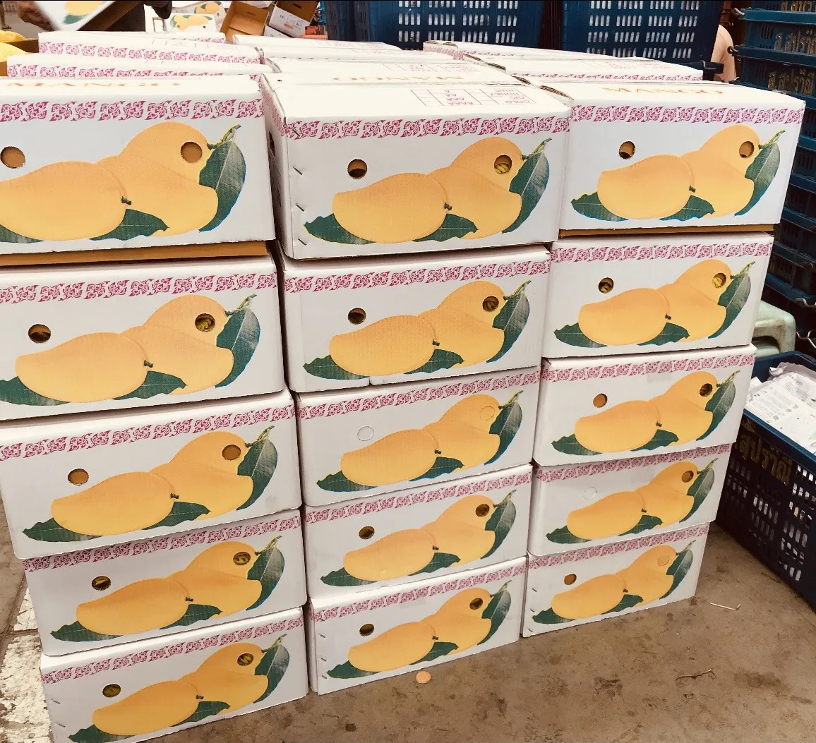 Thailand Export Quality  Best Selling Mangoes Known As Nam Dok Mai From  Thailand