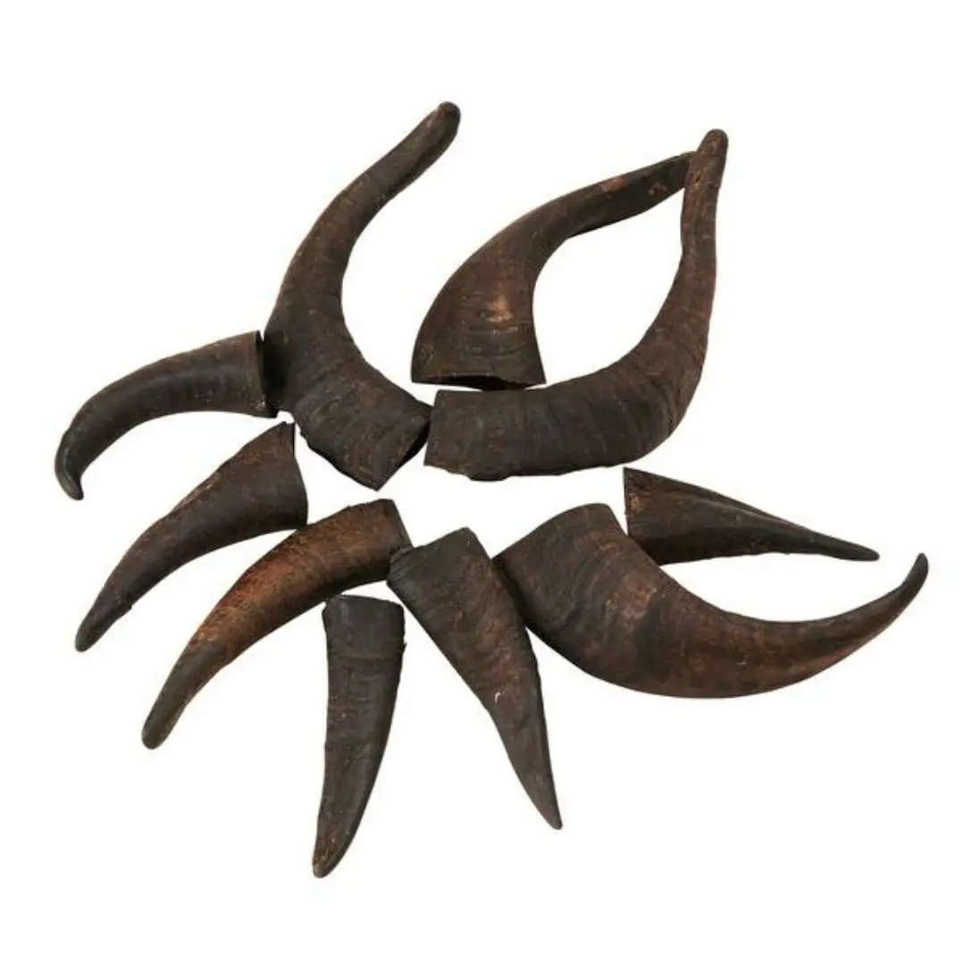 Hot Selling Pet Products Pet Food Dogs Food For Product Pricing Best Quality Customization Goat Horn NHE Overseas