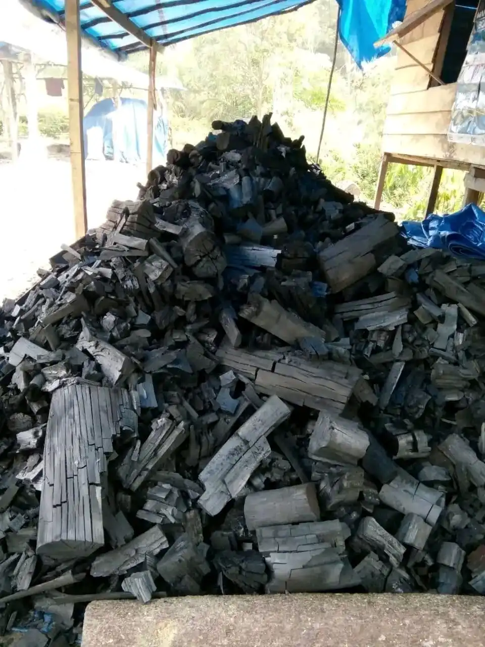 Pure Hard Wood Charcoal For BBQ