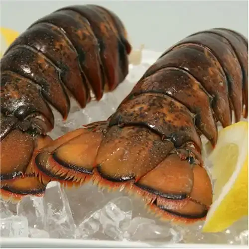 Fresh Frozen Lobsters, Raw Lobsters, Live Lobsters with Highest Export Quality