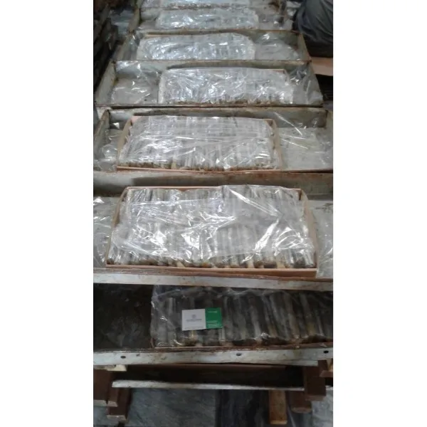 Frozen Razor Clam available for interested Buyer