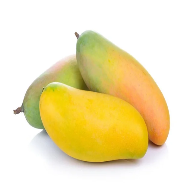 High Quality Yellow Color Tropical Fresh Fruit Cat Chu/Kaew Mango Frozen sweet MANGO Fruit
