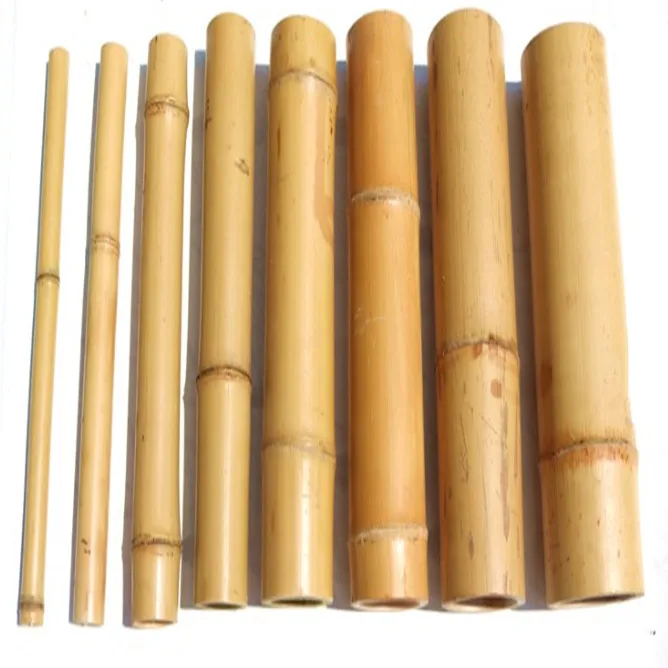 Garden farming agriculture stake pole bundles cheapest price bamboo canes for sale natural cane sticks