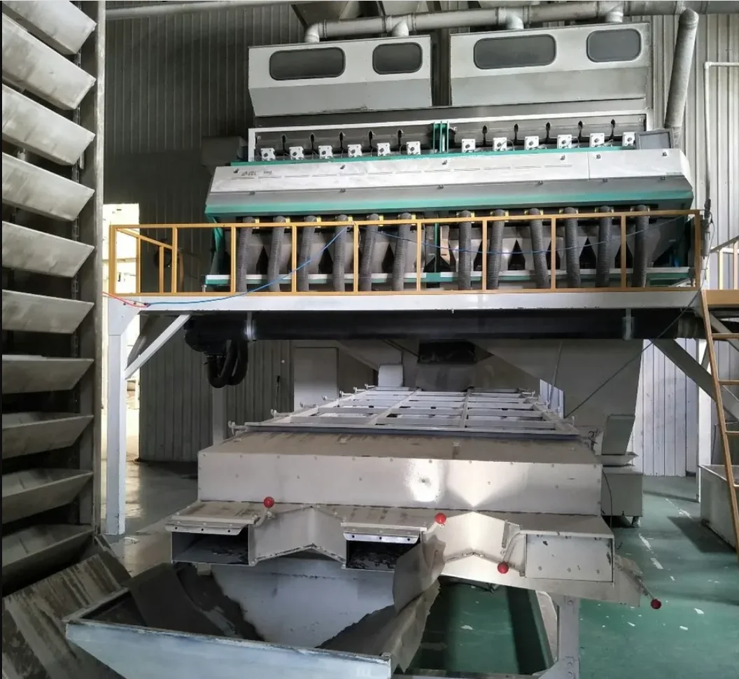 Wholesale Sunflower Seeds Kernel/Sunflower Seeds Ready For Export