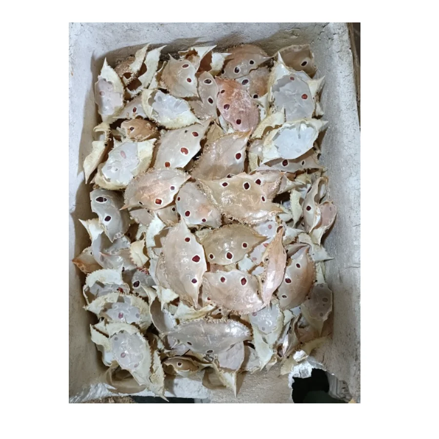 Handcrafted Dried Crab Shells: Premium Quality for Artistic Projects and Export