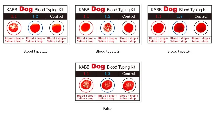 Valuable Dog Health Care Blood Typing Test Kit made in Korea 2023
