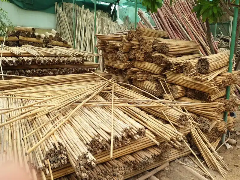 bamboo sticks12.jpeg