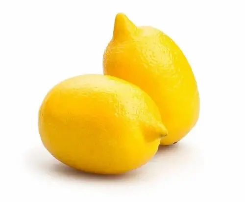 Fresh Lemon Fruits Top Sales Natural Citrus from Egypt Best quality wholesale Lemon Citrus Premium Quality Lemon for sale
