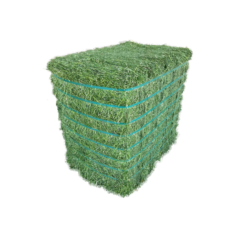 Высокопротеиновый Альфальфа Сено/Люцерна сено в тюках/Сено Тимоти для продажи и экспорта