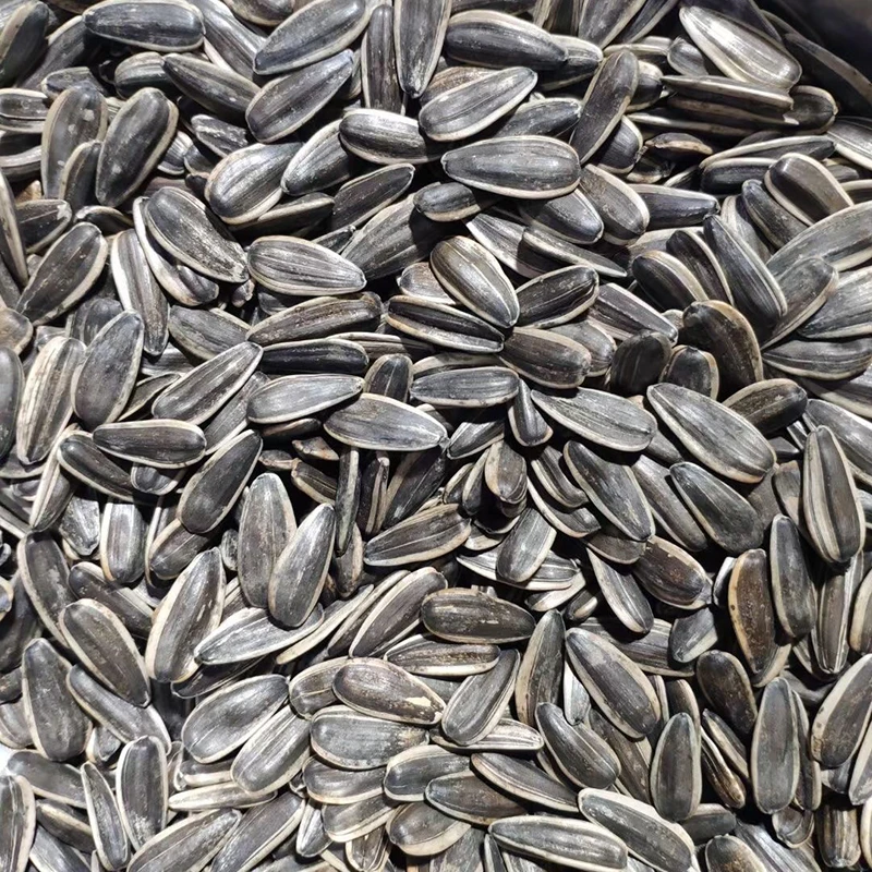 Sunflower Kernel Wholesale Price 2022 Crop Cheap Price Raw Sunflower Kernel