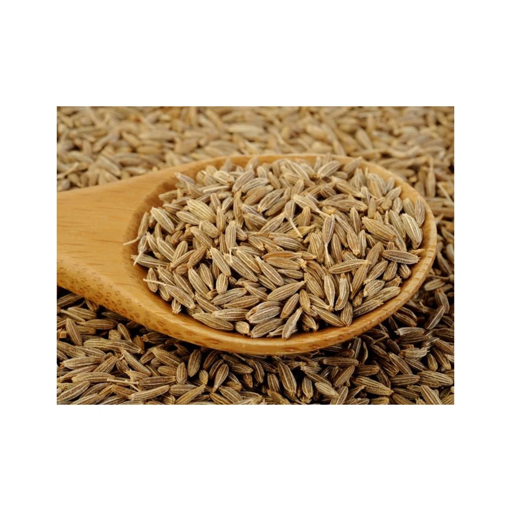 Hot sale quality spice cumin seed At low Price offer