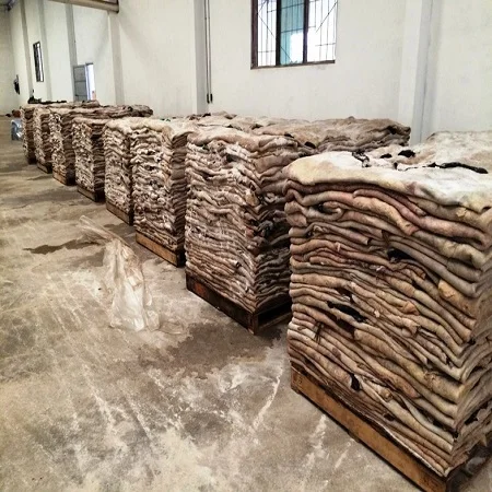 Good Quantity of Dry and Wet Salted Cow Hides / Skins / Animal Cattle Hides Available Here at Best Prices