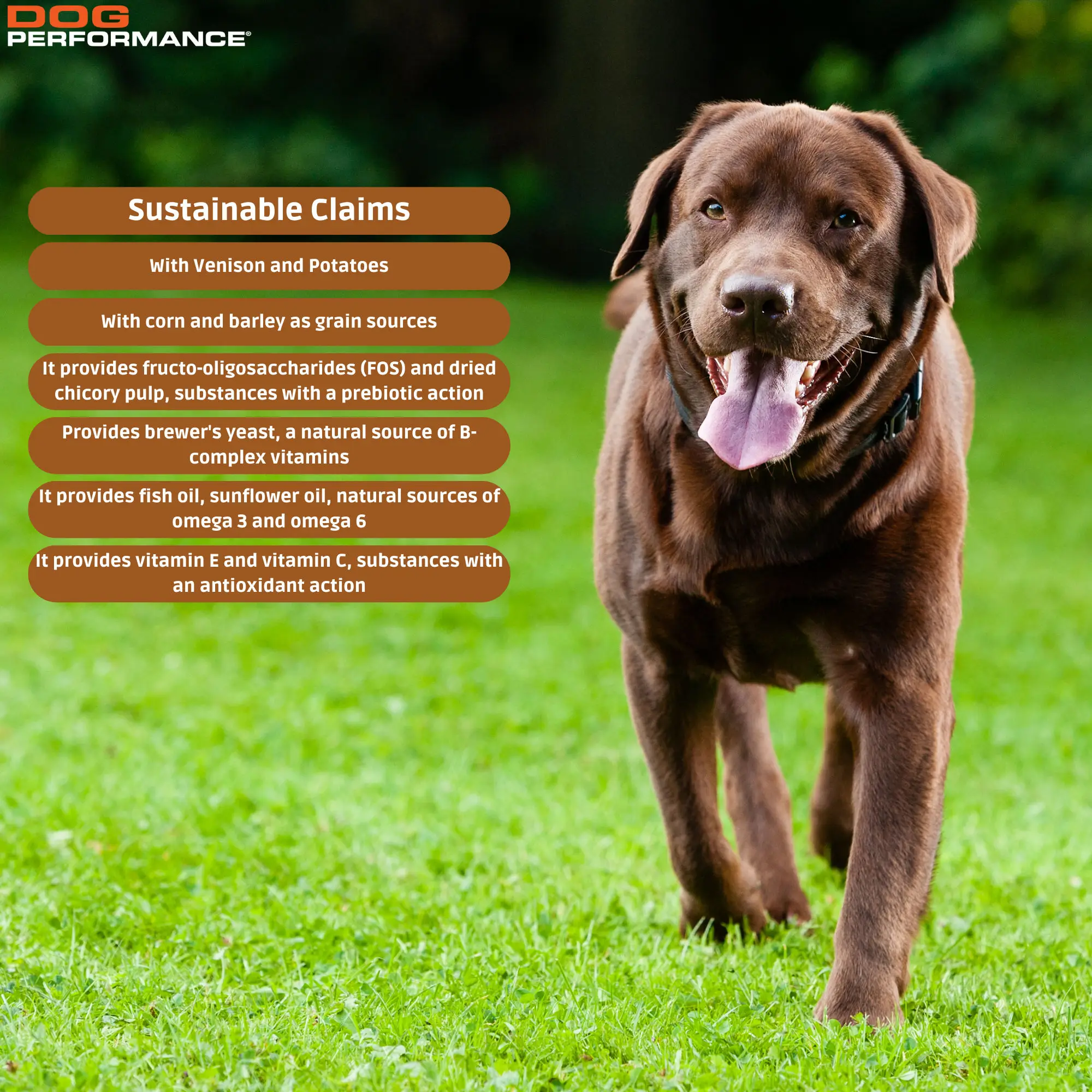 Корм для собак Премиум-класса вдохновленный природой-взрослый олень и картофель 15 кг-деревенский вкус восхитительной еды