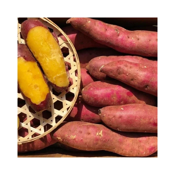 High-Quality Organic Sweet Potatoes - Fresh, Best Quality, Competitive Price, Export Ready, Wholesale, Ideal for Food
