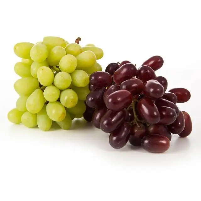 Sweet juicy green seedless grapes for sale