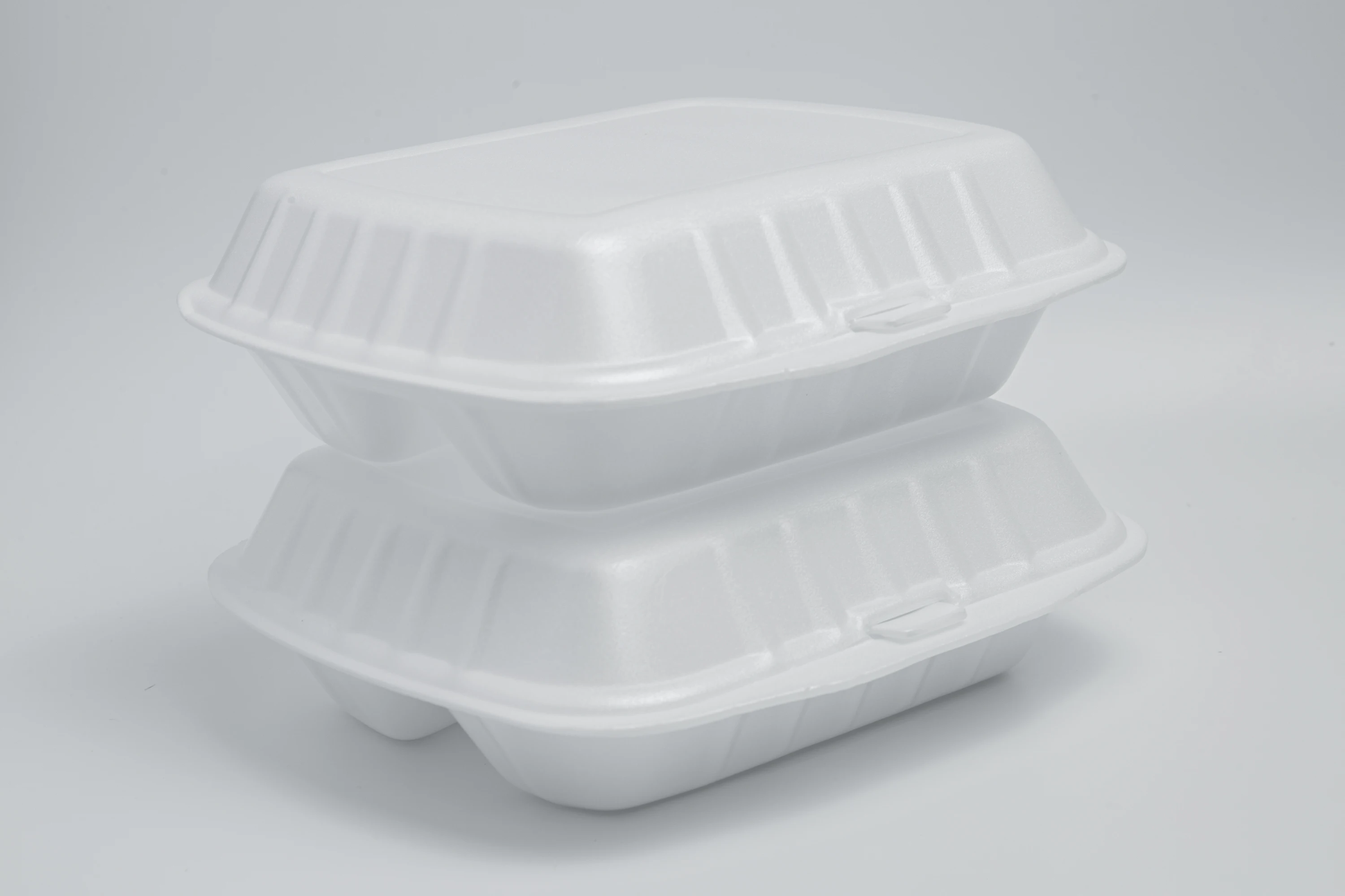 Ready to ship Disposable PS Foam Food Container Take Away Box made in Viet Nam competitive price classic design