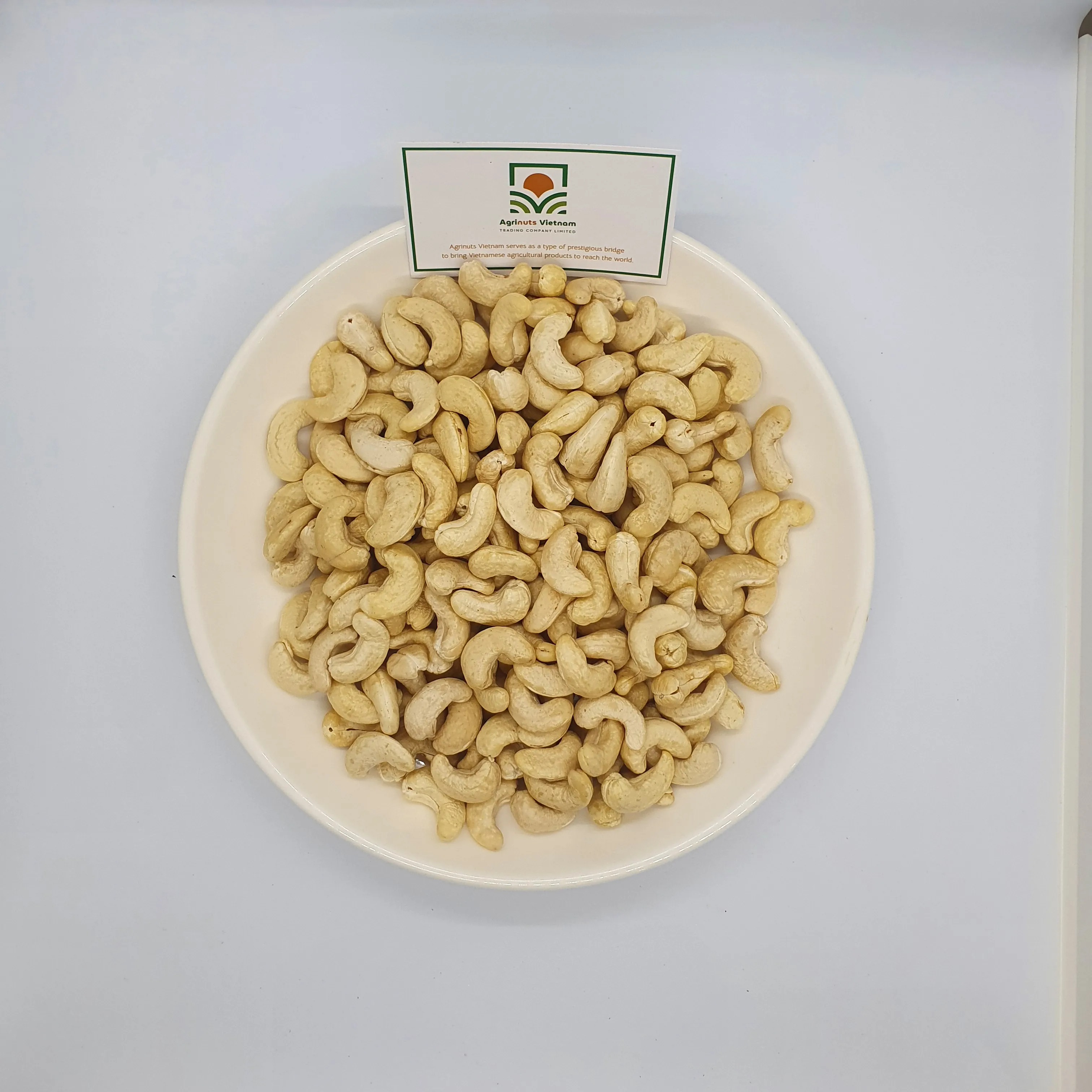High quality Cashew nuts WW240 from Viet Nam Pure cashew nuts White/Light yellow ivory Color Good Price