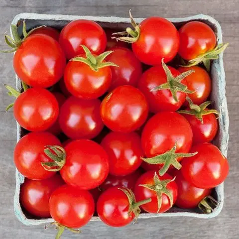 Fresh-Plum-Tomatoes.jpg