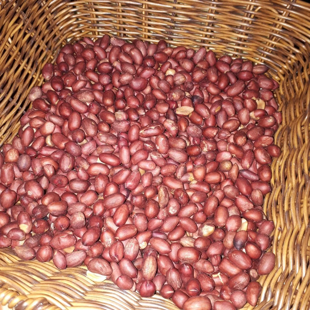 Wholesale Natural Organic First Grade Roasted Peanuts Bulk Pealed Roasted Peanut Laser Sorting Peanuts Nuts & Kernels