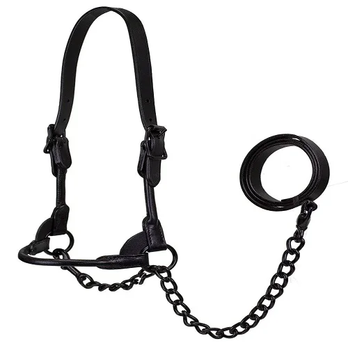 Black Midnight All Black Premium Round Rolled Leather Cattle Show Halter With Matching Chain Lead Folding Seasonal Smart