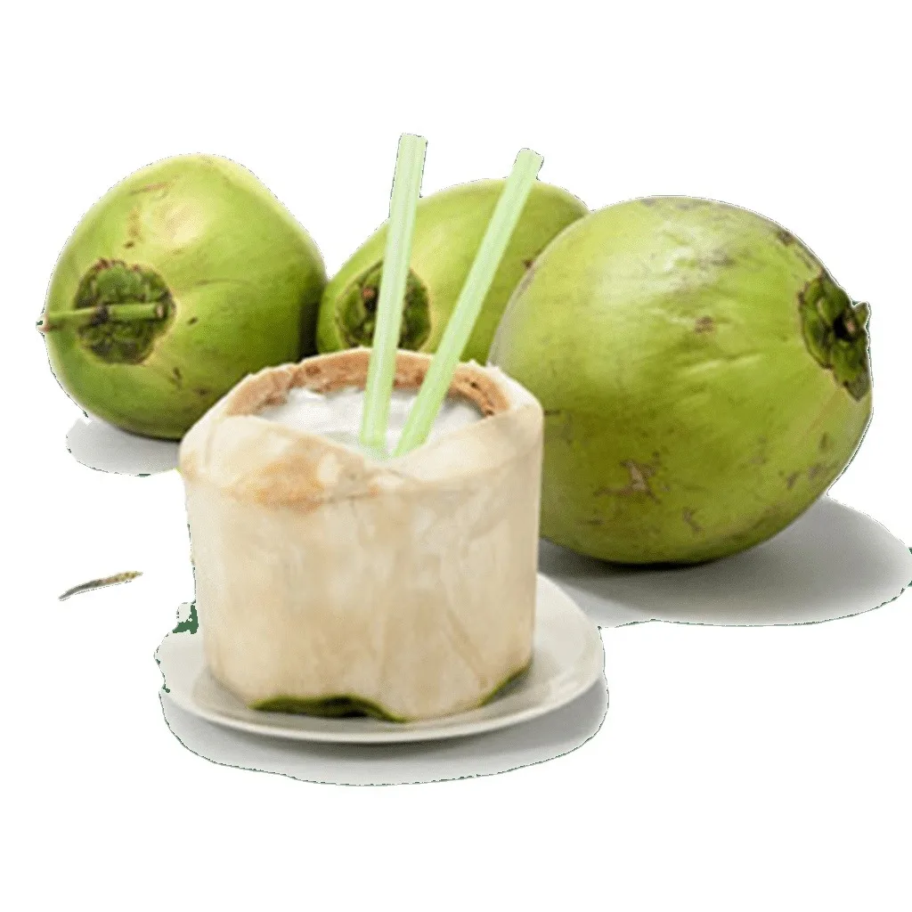 Fresh green young coconut Top quality best price coconut for wholesales made in Vietnam