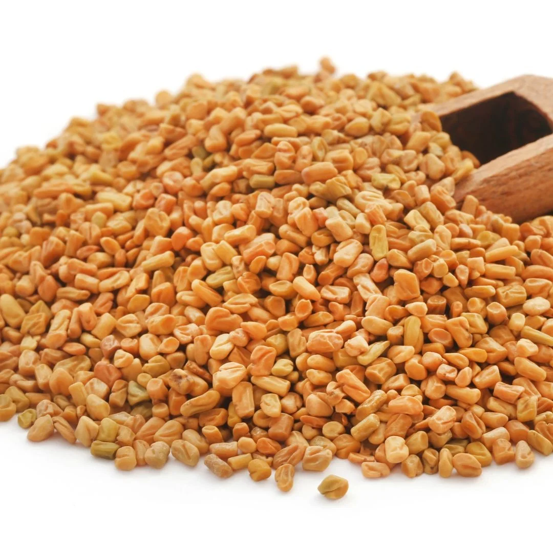 New Arrival Natural Fenugreek Seeds Varieties Food Grade Spices Fenugreek Seeds Wholesale Price