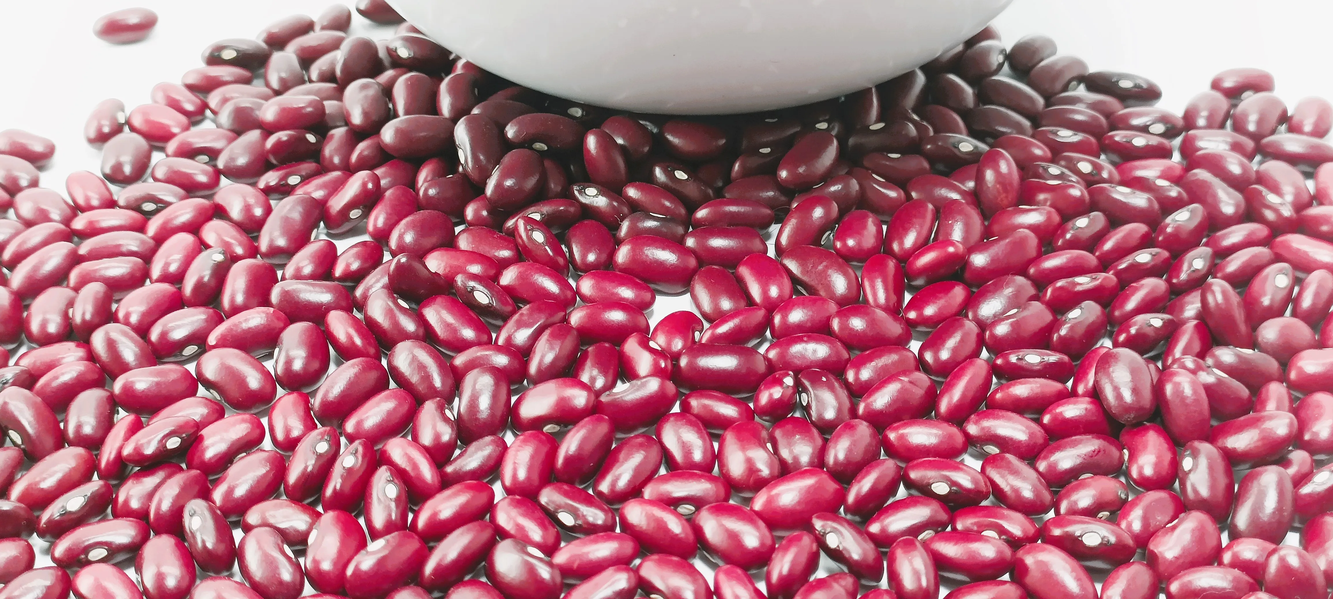 Ethiopian High Quality Red Kidney Beans Fully Machine Cleaned + Handpicked + Polished Purity 99.9% Bulk Packing in PP Bags Beans