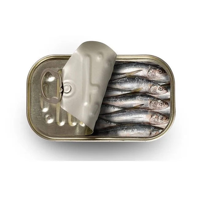 Wholesale Supplier Of Bulk Stock of Canned Seafood Canned Sardine Fish In Brine Fast Shipping