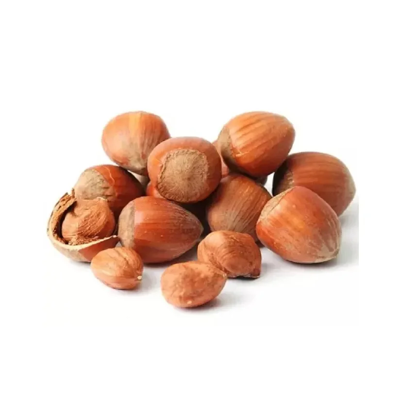 Wholesale custom private label raw hazelnut nut hazel nut wholesale hazelnut 50kg bags