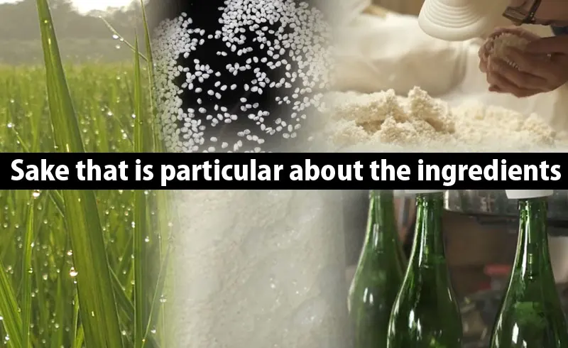 Fruity and light Taste Wholesale Japanese Rice Wine Sake