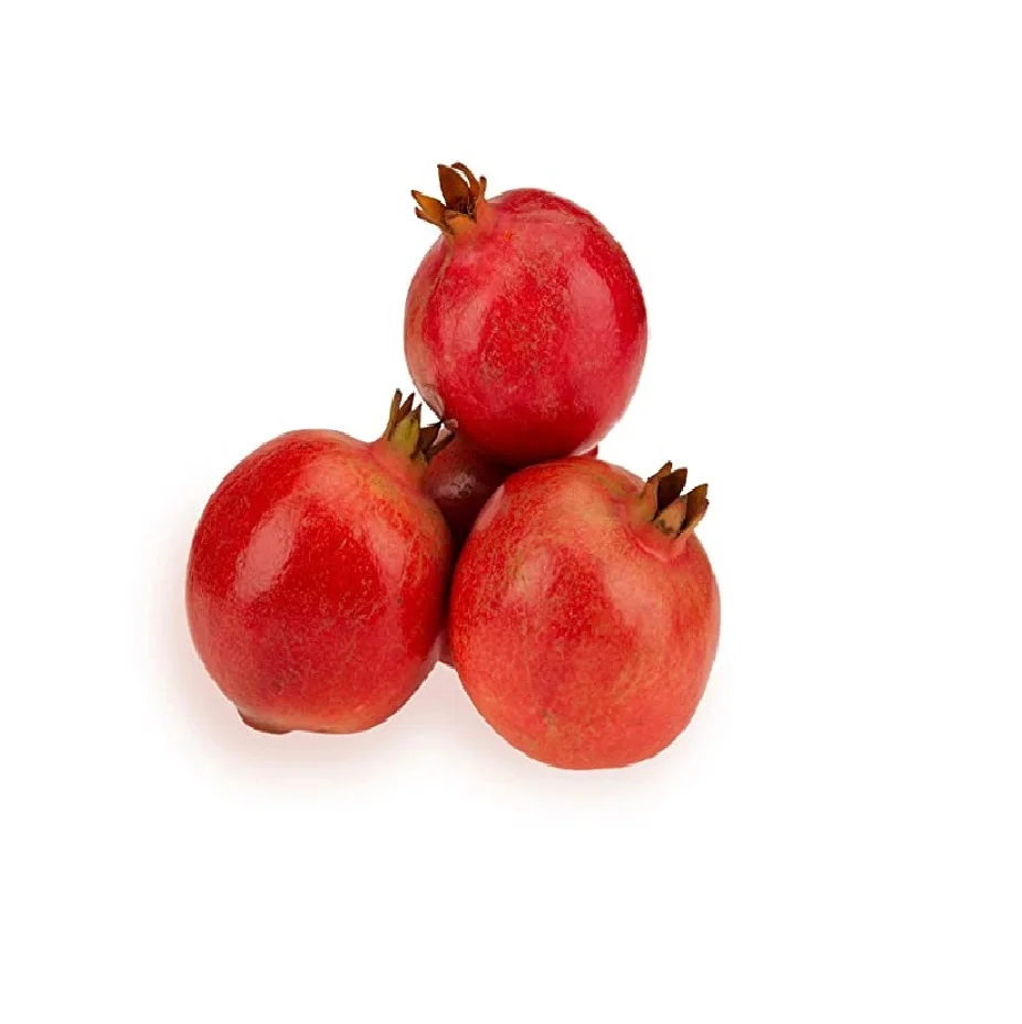 Top Quality Pomegranate Fruit For Eating Supplier Of India